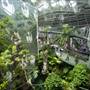 California Academy of Sciences