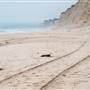 San Gregorio State Beach (SB)