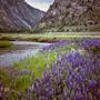 Grant Lake & Highway 158
