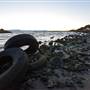 McLaughlin Eastshore State Park State Seashore (SP) - East Bay Regional Park District