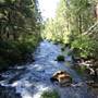 McArthur-Burney Falls Memorial State Park (SP)
