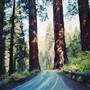 Kings Canyon National Park