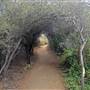 Topanga State Park (SP)
