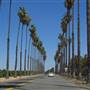 California Citrus State Historic Park (SHP)