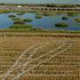 Sacramento-San Joaquin Delta
