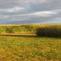 Yolo Bypass Wildlife Area - California Department of Fish & Wildlife (CDFW)
