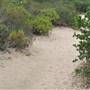 Burton Mesa Ecological Reserve - California Department of Fish & Wildlife (CDFW)