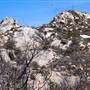 Bonny Doon Ecological Reserve - California Department of Fish & Wildlife (CDFW)