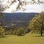 Cache Creek Wilderness