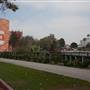 Roads and Surfaces at Exposition Park