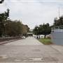 Roads and Surfaces at Exposition Park