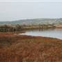 Elkhorn Slough National Estuarine Research Reserve - California Department of Fish & Wildlife (CDFW)