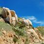Blue Sky Ecological Preserve - City of Poway & California Department of Fish & Wildlife (CDFW)