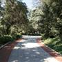 Greystone Mansion & Park