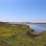 Bolsa Chica Ecological Reserve - California Department of Fish & Wildlife (CDFW)