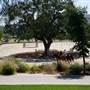 El Campeon Farms - Windy Hill Ranch