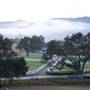 Windy Hill Ranch - El Campeon Farms