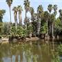 Los Angeles County Arboretum