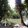 Los Angeles County Arboretum
