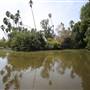 Los Angeles County Arboretum