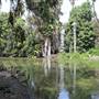 Los Angeles County Arboretum