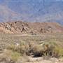 Alabama Hills - Bureau of Land Management / BLM - Bishop Field Office