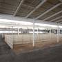 The Big Fresno Fair - 21st DAA