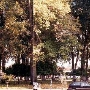 City Plaza