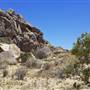 Desert View Conservation Area