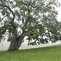 Dorrance Ranch