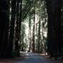 Julia Pfeiffer Burns State Park (SP) - McWay Falls - McWay Cove