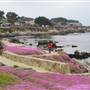 Pacific Grove