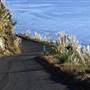 Nacimiento Fergusson Road - Forest Road No. 22S01