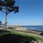 Pacific Grove