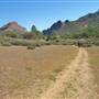 Inn at the Pinnacles / Brosseau Vineyards - next to Pinnacles National Park