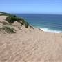Sand City Beach / Eolian Dunes Preserve