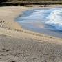 Carmel River State Beach (SB)