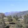 Ridge Route Ranch