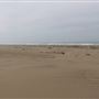 MacKerricher State Park (SP) - Inglenook Ten Mile Preserve - northern stretch - aka Ten Mile Dunes