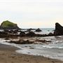 Van Damme State Park (SP) / Beach / Pygmy Forest / Fern Canyon Trail / Spring Ranch Trail
