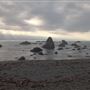 Westport Headlands