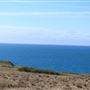 Navarro Point Preserve and Coastal Trail