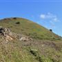 Navarro Point Preserve and Coastal Trail