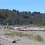 Navarro River Beach - Navarro River Redwoods State Park (SP)