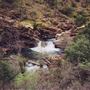 Shasta County Trails
