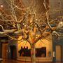 Shasta County Museums