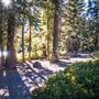 Shasta County Lakes & Rivers