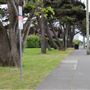 Harold O. Bainbridge City Park