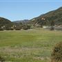 Rancho Grande