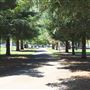 Todd Grove Park